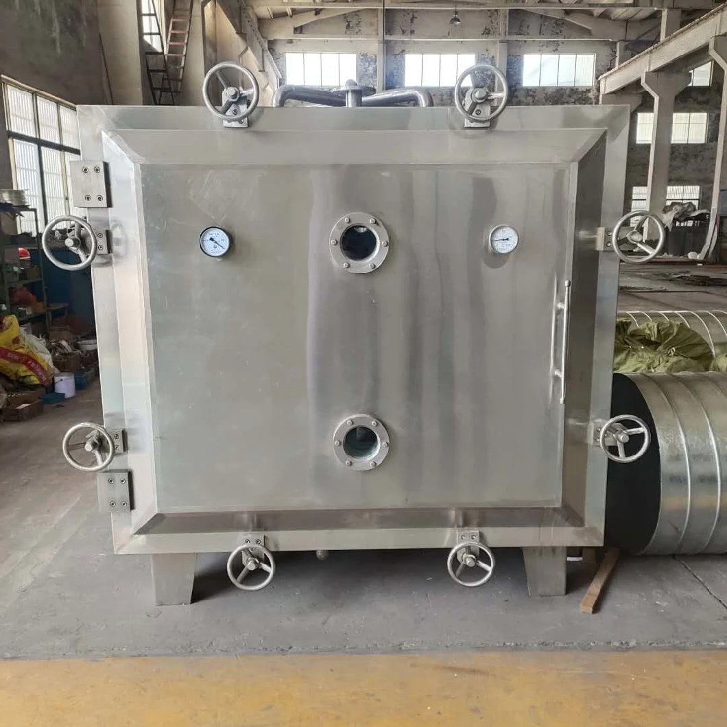 Fzg-15 Series Low Temperature Vacuum Drying Equipment for Preserved Fruit, Green Skin Mango